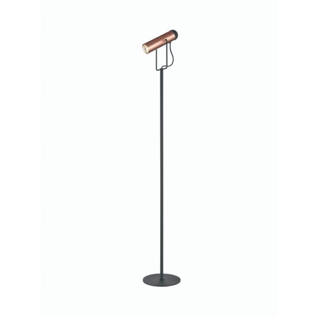 Spot Reading Floor Lamp In Black And Copper Finish S252