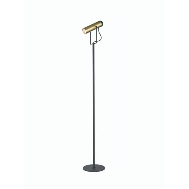 Spot Reading Floor Lamp In Black And Satin Gold  Finish S253