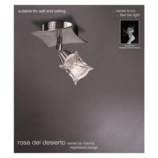 M0041 Rosa Del Desierto 1 Lt Chrome Flush Ceiling Lamp