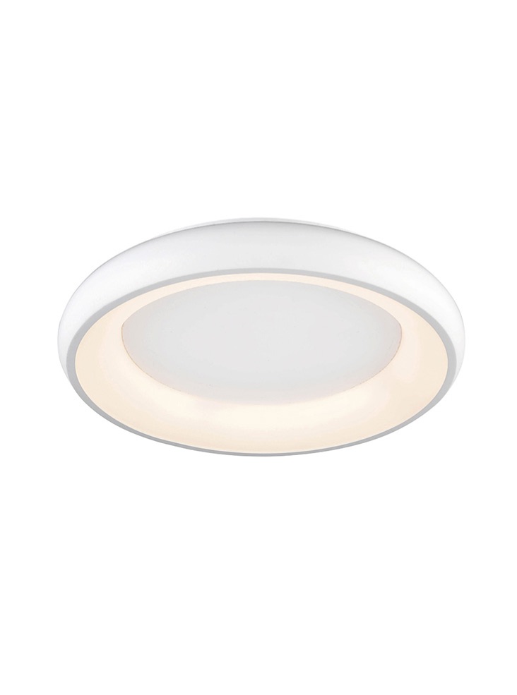 Dimmable LED Flush Ceiling Light In White Finish C5803